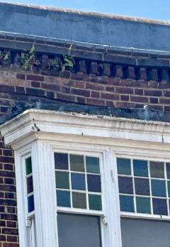 Site photo showing bay window joint cracking, coping defects, and upper masonry vegetation ingress